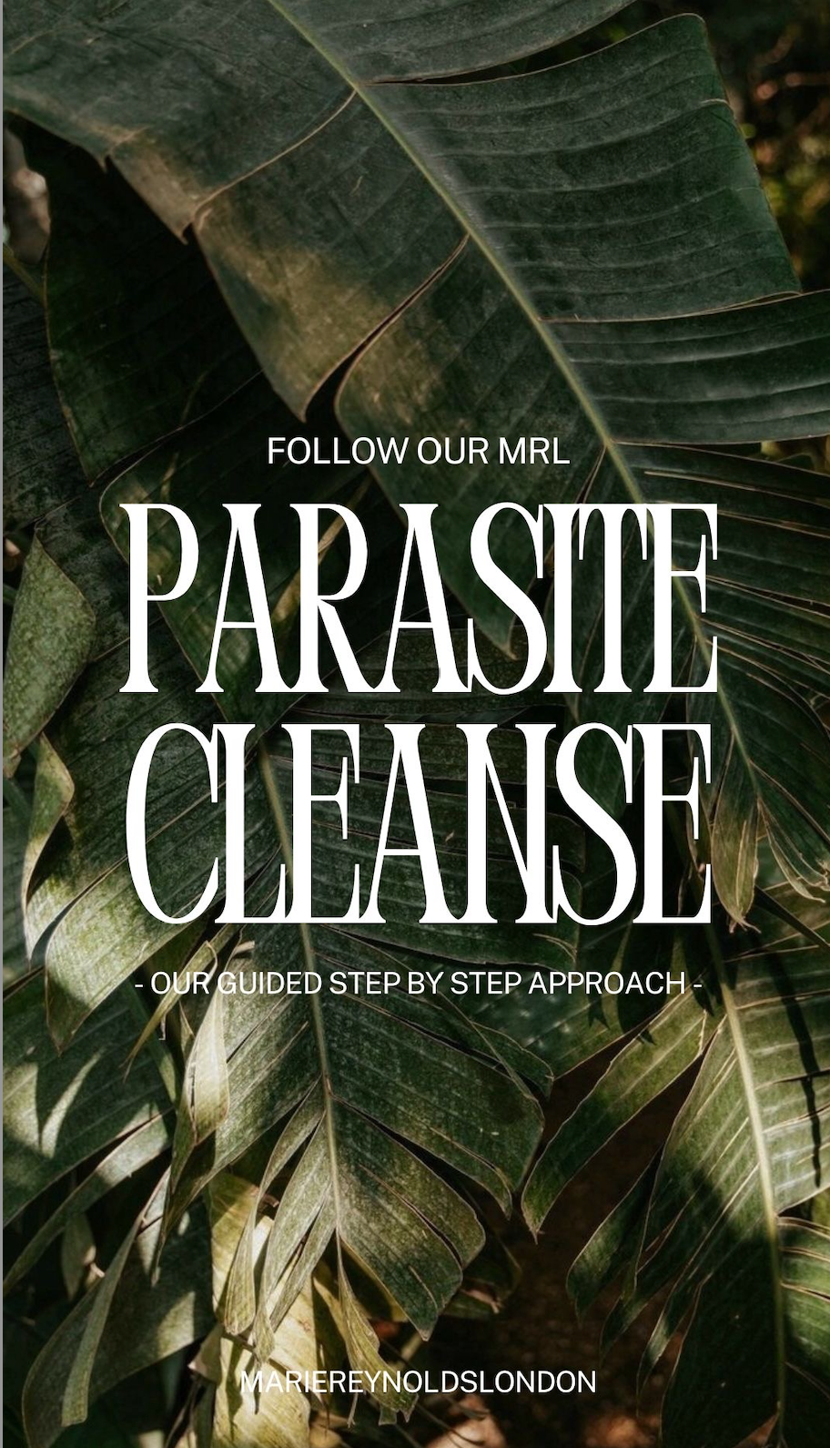 Parasite Cleanse